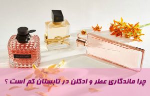 چرا ماندگاری عطر و ادکلن در تابستان کم است ؟