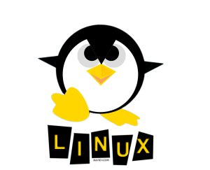 linux ؛سیستم عامل لینوکس « متن باز و رایگان »