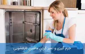 جرم گیری و تمیز کردن ماشین ظرفشویی ؛ دلایل ایجاد و رفع کپک
