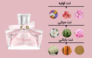انواع رایحه یا نت عطر و معرفی نت های بویایی