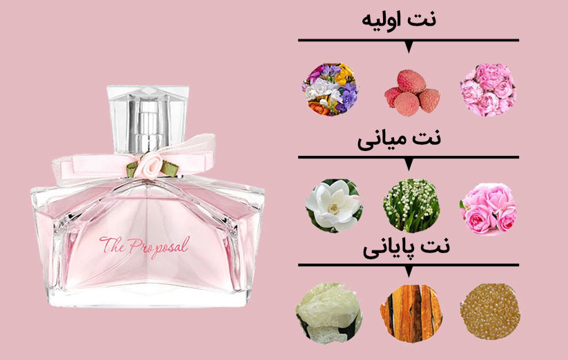 انواع نت های عطر